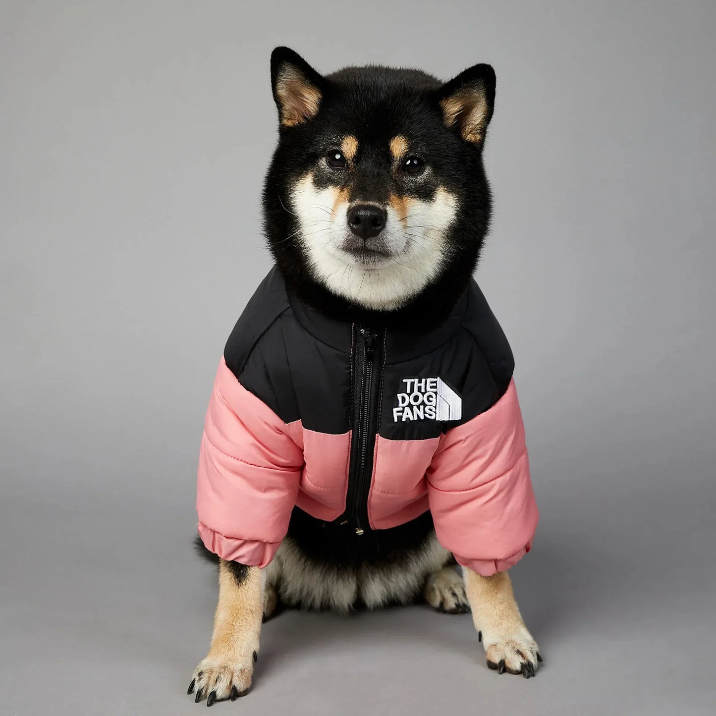 The Dog Face Winter Pet Dog down Jacket Clothes for Small Medium Dogs Warm Thick White Duck down Vest French Bulldog Puppy Coat