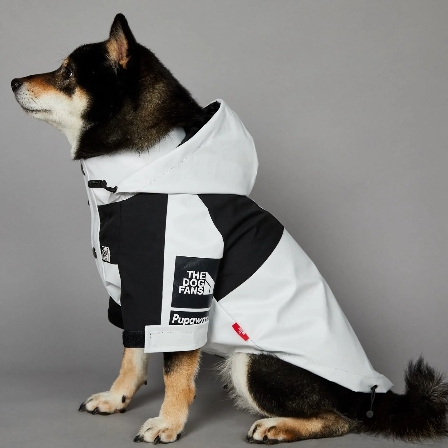 Dog Clothes Raincoat for Small Big Dogs Wind Coat Windbreaker French Bulldog Hoodie