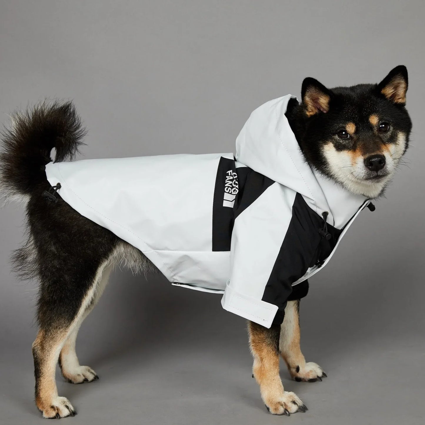 Dog Clothes Raincoat for Small Big Dogs Wind Coat Windbreaker French Bulldog Hoodie
