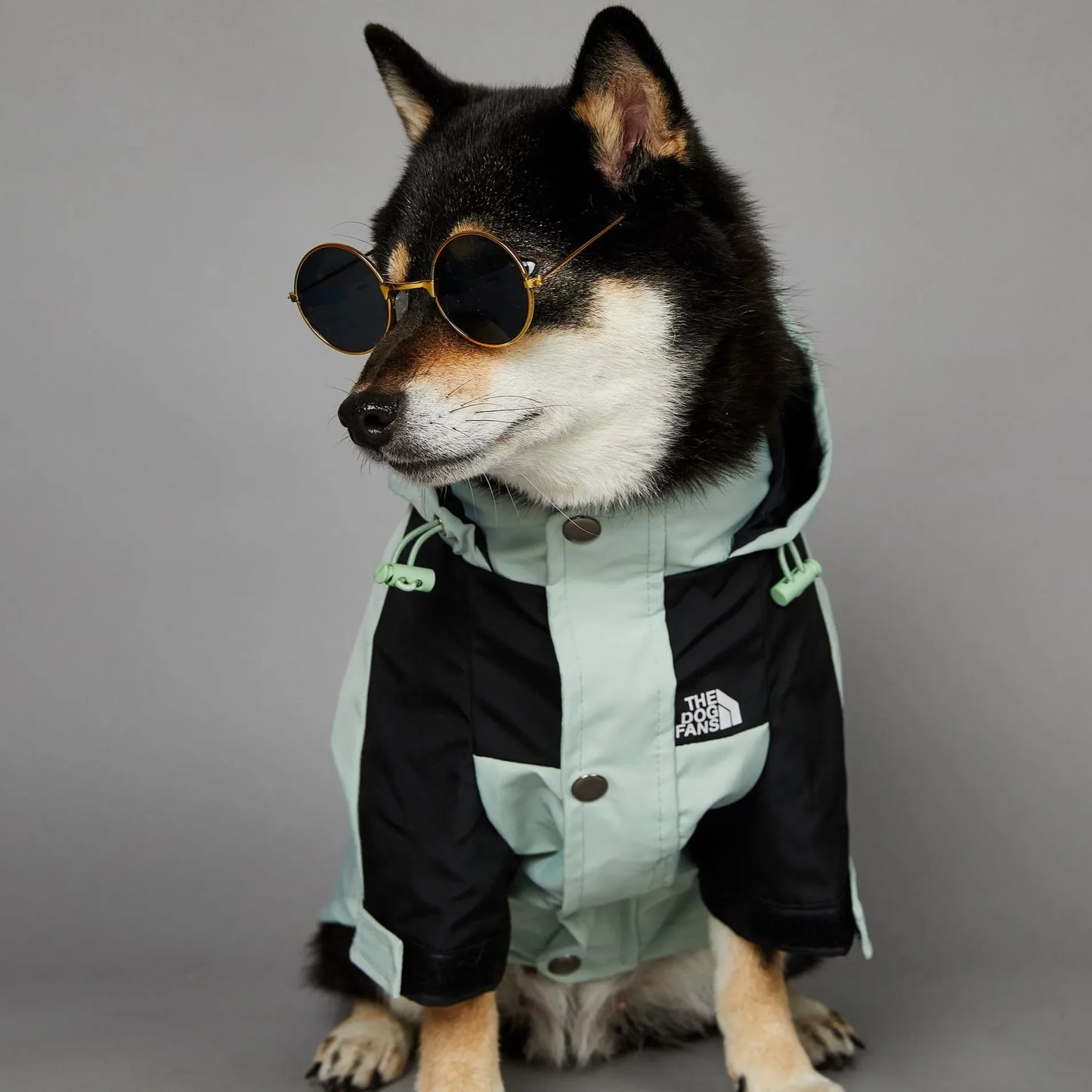 Dog Clothes Raincoat for Small Big Dogs Wind Coat Windbreaker French Bulldog Hoodie