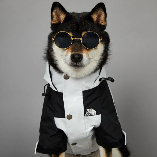 Dog Clothes Raincoat for Small Big Dogs Wind Coat Windbreaker French Bulldog Hoodie