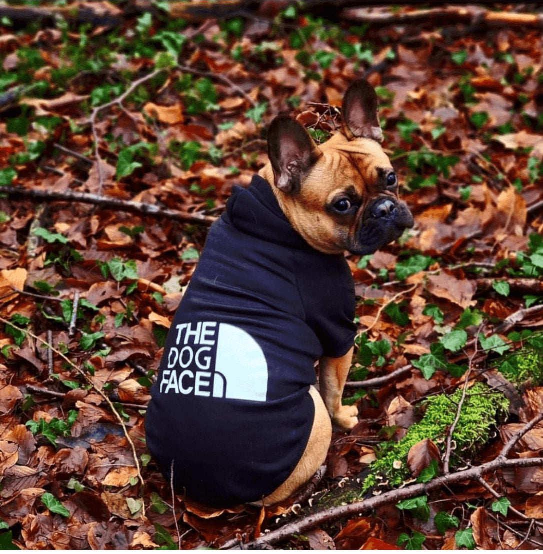 Pet Dog Hoodies Autumn and Winter Season Large Dog Clothes Dog Face Text Pattern French Bulldog Labrador Jacket Clothing