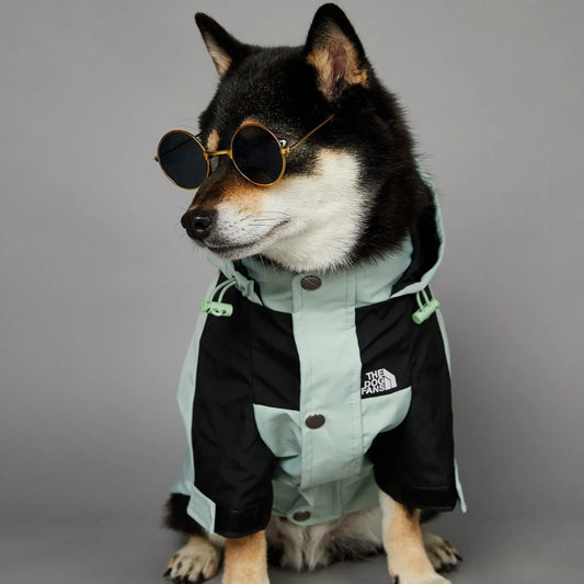 Dog Clothes Raincoat for Small Big Dogs Wind Coat Windbreaker French Bulldog Hoodie